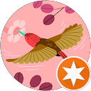 Roswitha Kaiselgruber profile picture